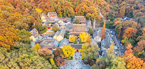 景点8