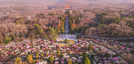 景点1